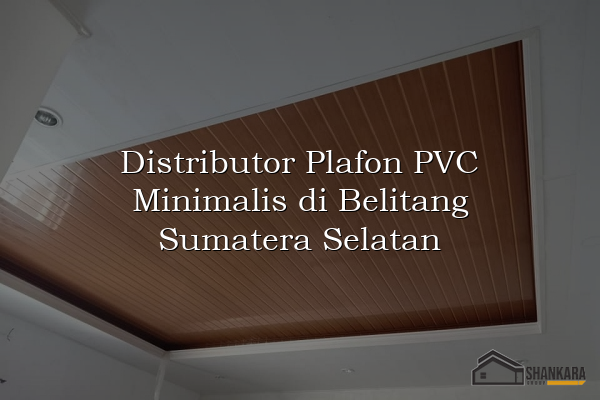 Distributor Plafon PVC Minimalis di Belitang Sumatera Selatan