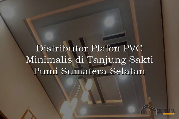 Distributor Plafon PVC Minimalis di Tanjung Sakti Pumi Sumatera Selatan