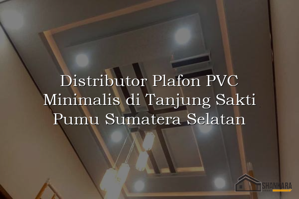 Distributor Plafon PVC Minimalis di Tanjung Sakti Pumu Sumatera Selatan