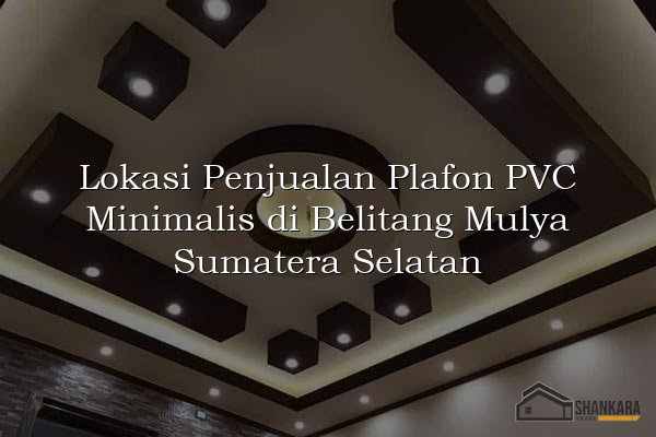 Lokasi Penjualan Plafon PVC Minimalis di Belitang Mulya Sumatera Selatan