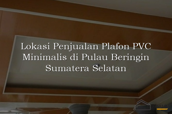 Lokasi Penjualan Plafon PVC Minimalis di Pulau Beringin Sumatera Selatan