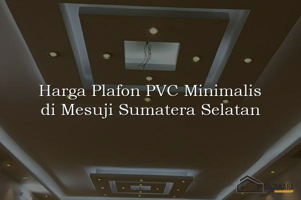 Harga Plafon PVC Minimalis di Mesuji Sumatera Selatan
