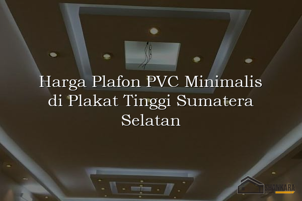 Harga Plafon PVC Minimalis di Plakat Tinggi Sumatera Selatan