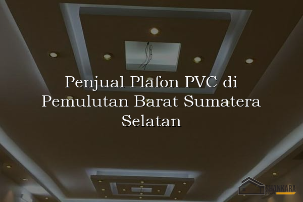 Penjual Plafon PVC di Pemulutan Barat Sumatera Selatan