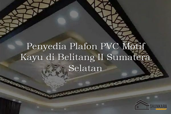 Penyedia Plafon PVC Motif Kayu di Belitang II Sumatera Selatan