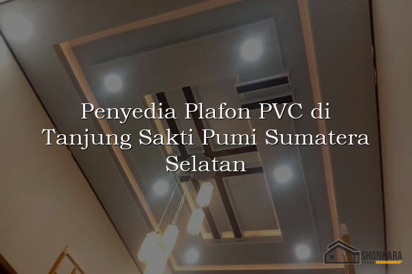 Penyedia Plafon PVC di Tanjung Sakti Pumi Sumatera Selatan